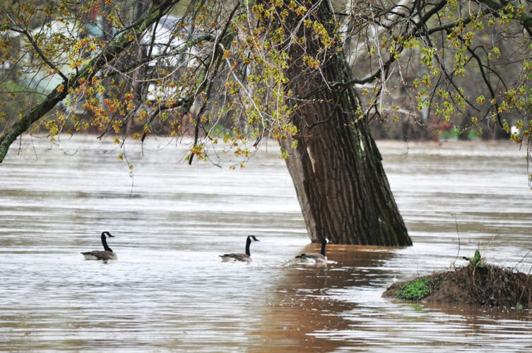 Brewing Locally Image